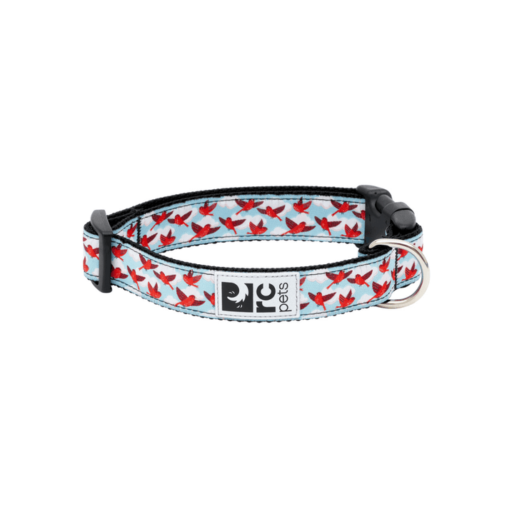 RC Pets Dog Collars - Clip Collar - Toronto Pets