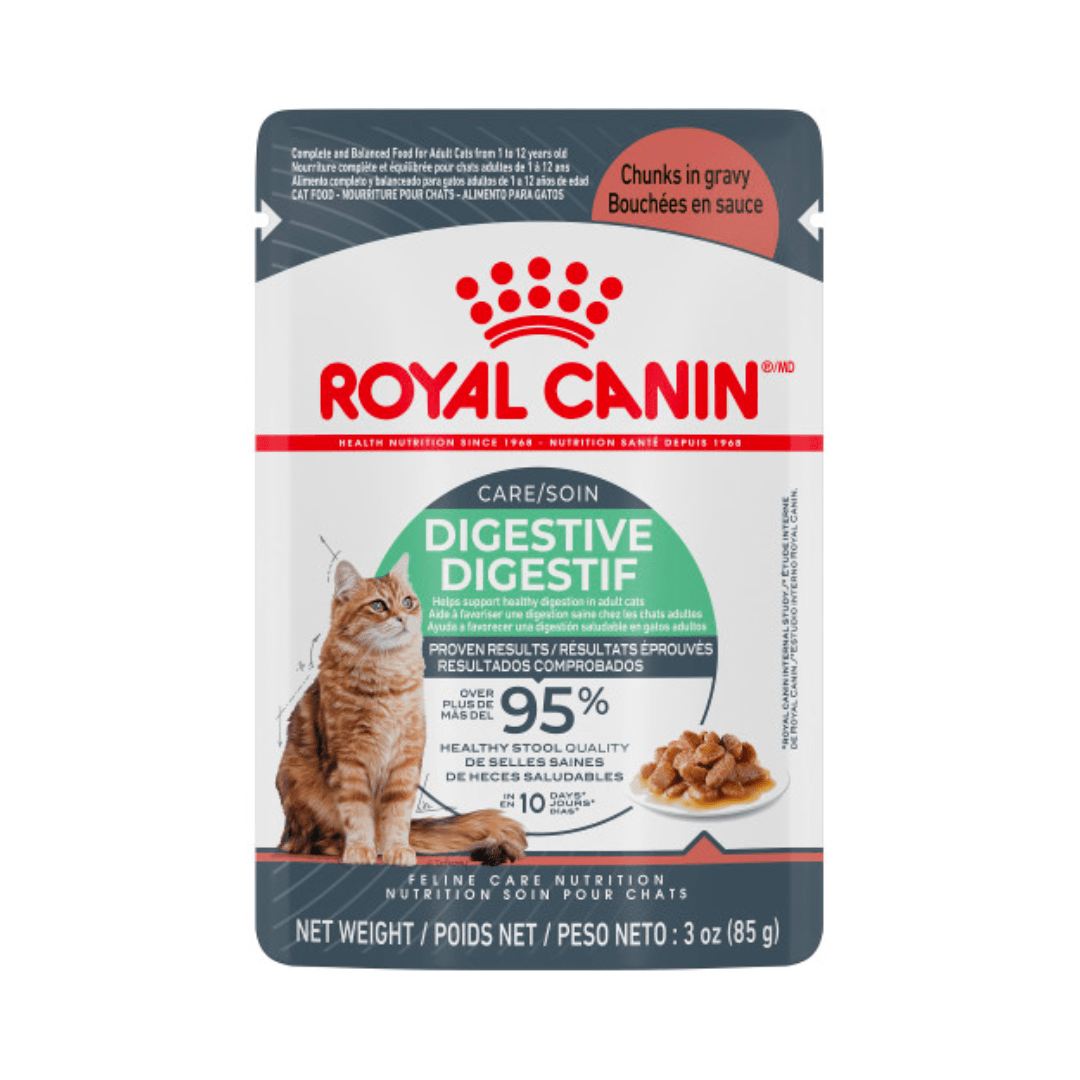 Royal canin cat food wet pouches sales