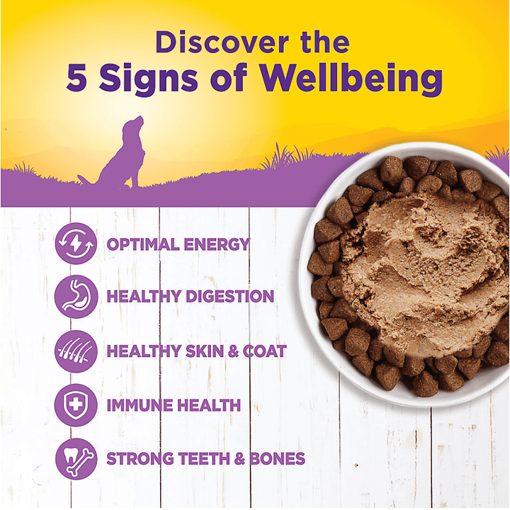 Wellness Wet Dog Food - Complete Health Age Advantage Recipe Canned - Toronto Pets