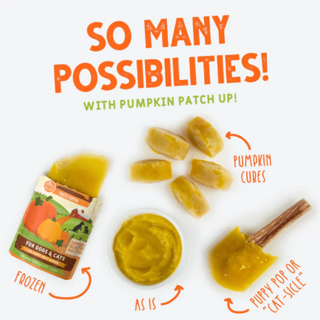 Weruva Dog and Cat Supplements - Pumpkin Patch Up Pumpkin with Ginger & Tumeric Pouch - Toronto Pets