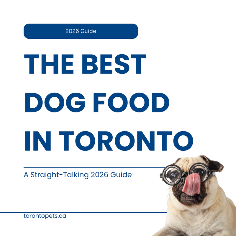 The Best Dog Food in Toronto: A Straight-Talking 2026 Guide