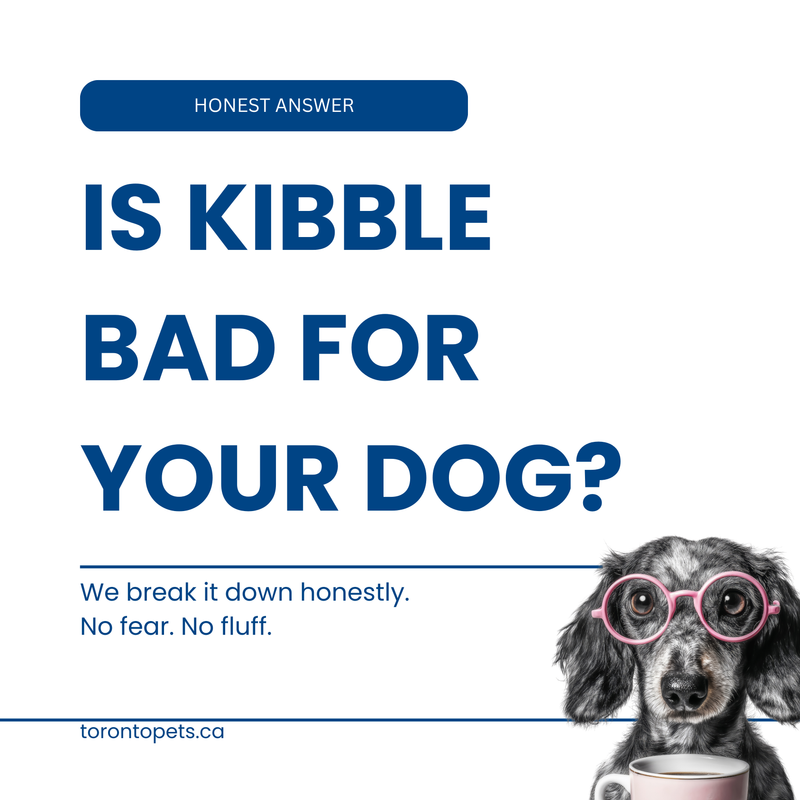Is Kibble Bad for Dogs? Here’s What We Actually Think