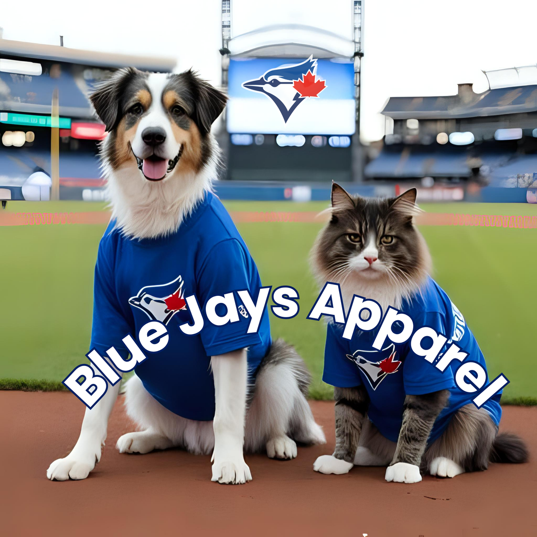 Let's Go Blue Jays!