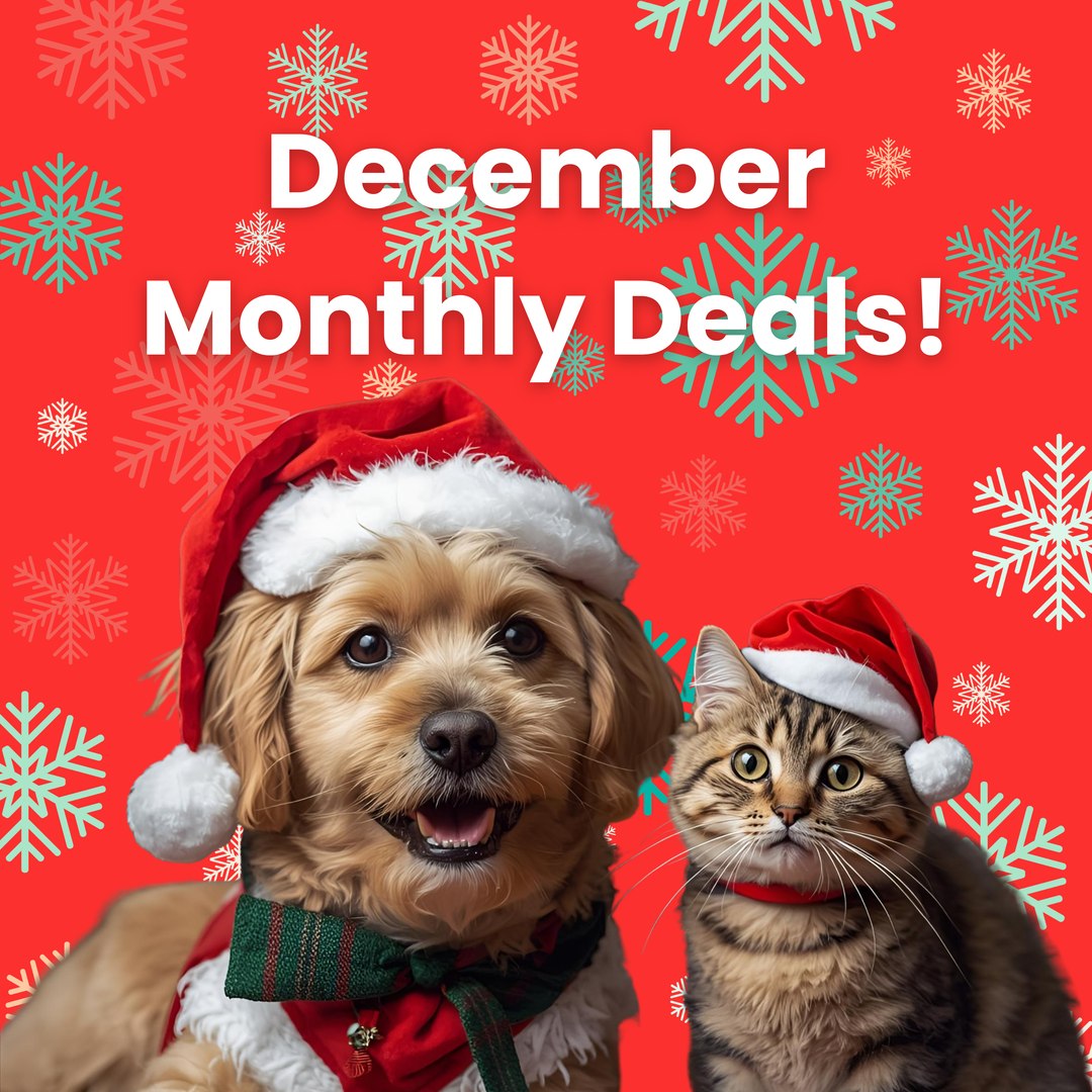 December 2025 Monthly Deals