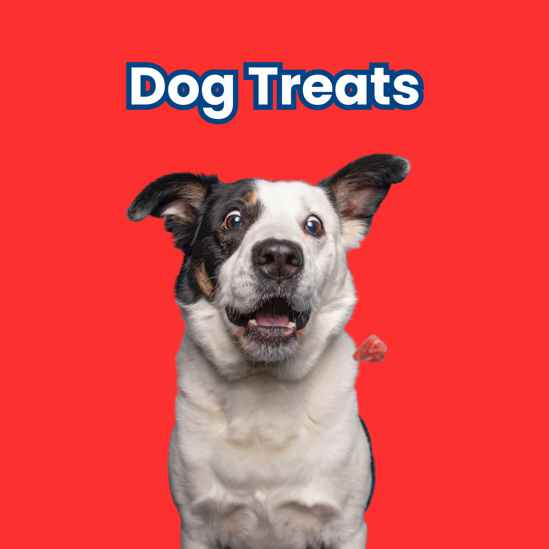 Dog Treats
