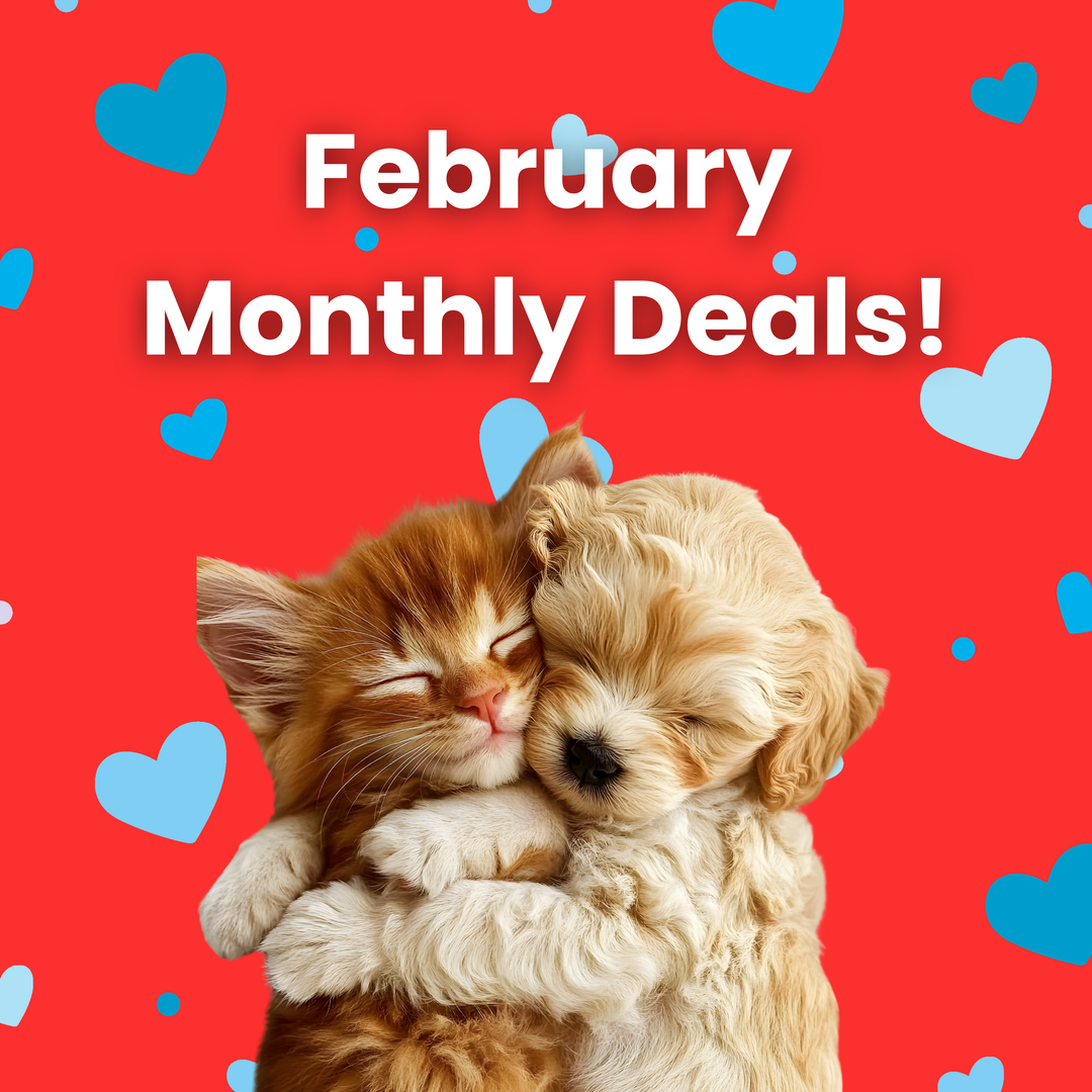 February 2026 Monthly Deals