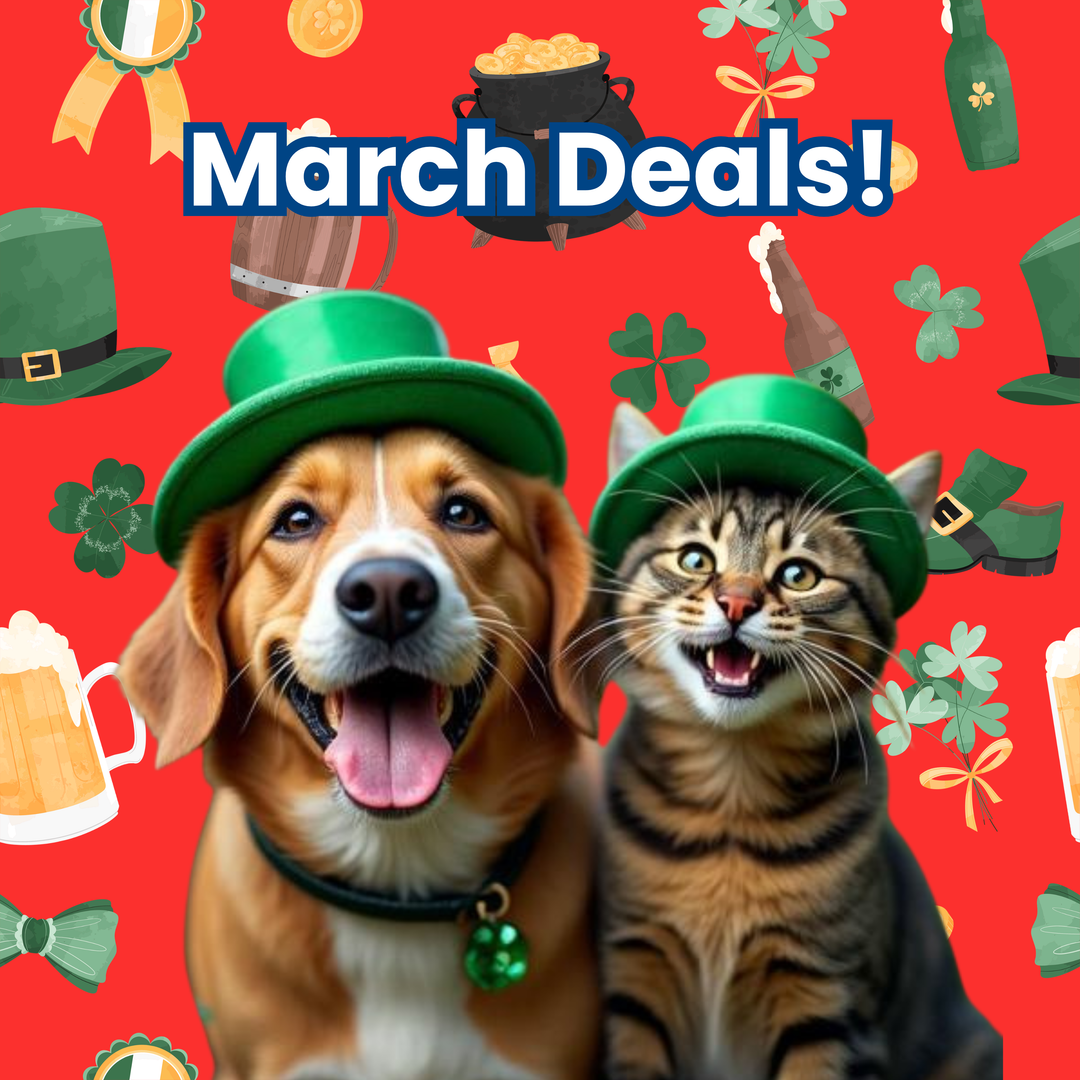 March 2026 Monthly Deals