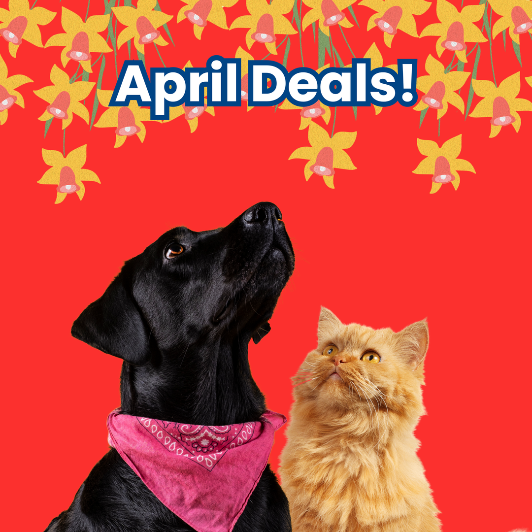 April 2026 Monthly Deals