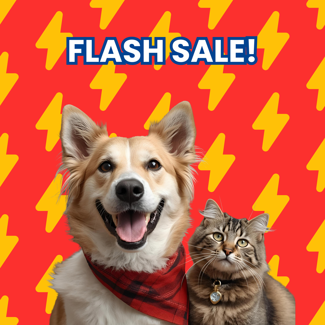 February 2026 Flash Sale!