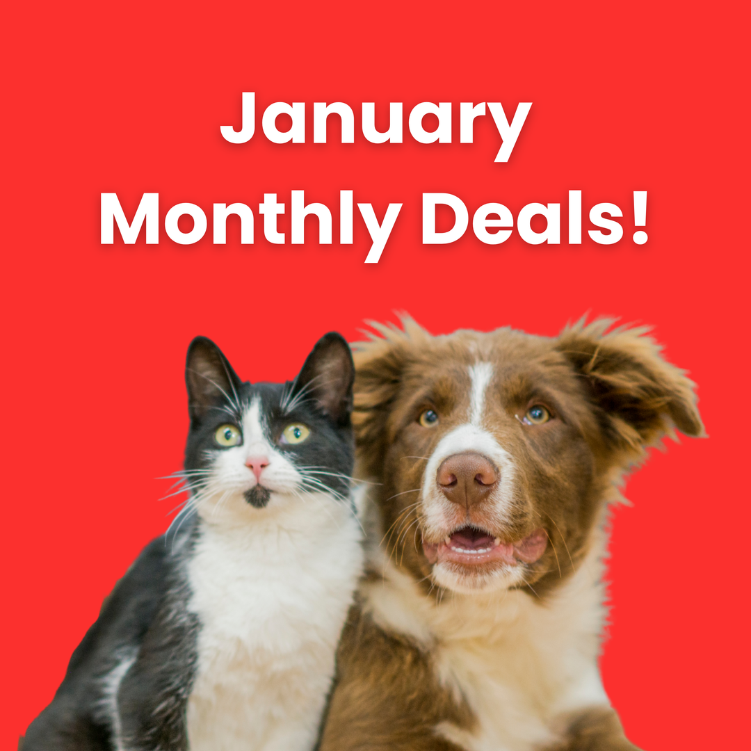 January 2026 Monthly Deals