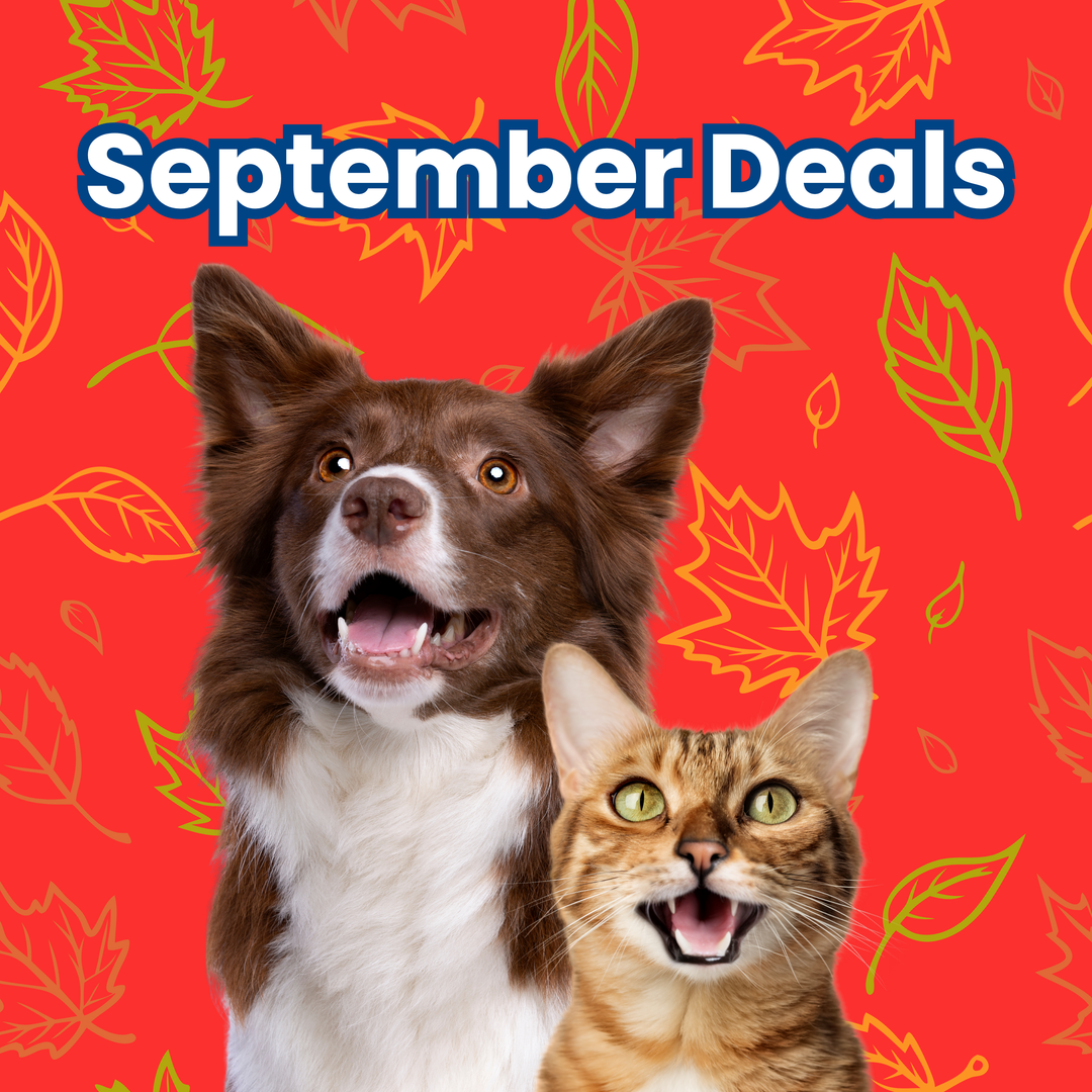 September 2026 Monthly Deals