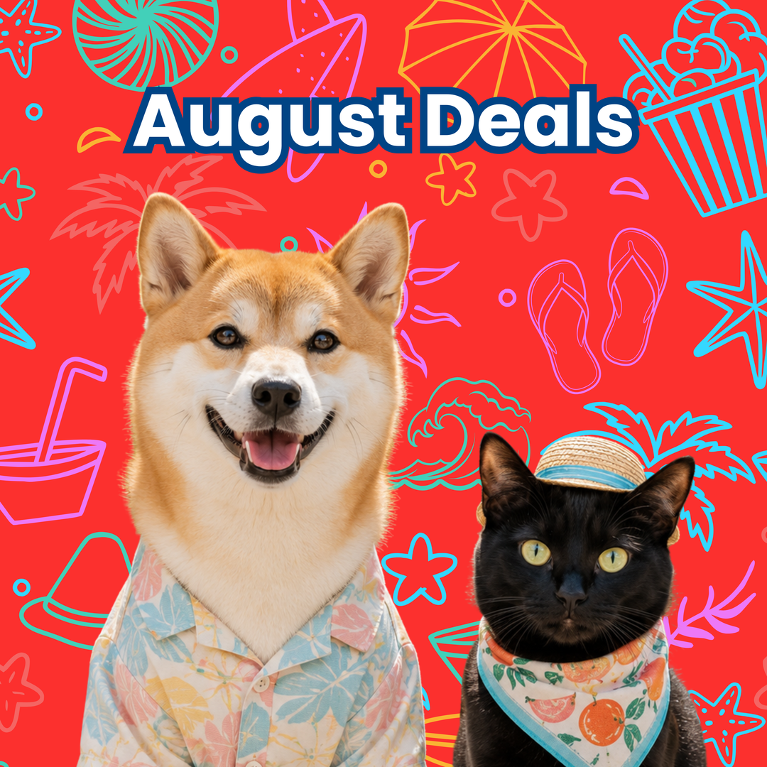August 2026 Monthly Deals