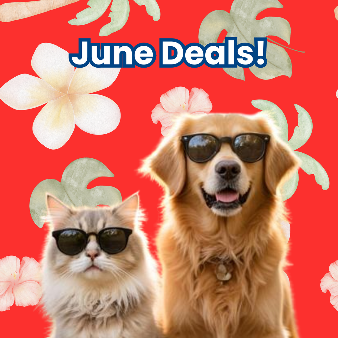 June 2026 Monthly Deals
