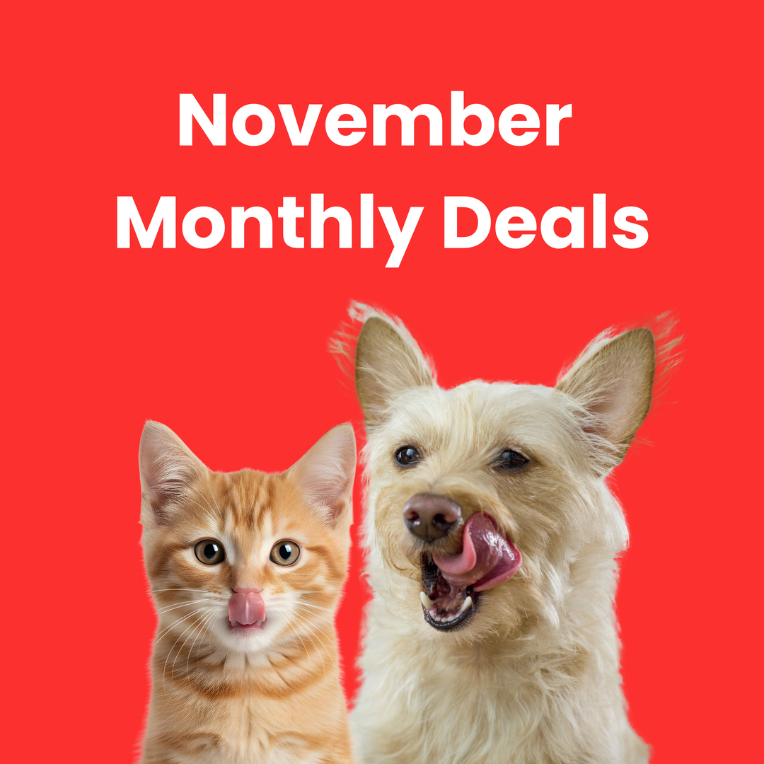 November 2025 Monthy Deals