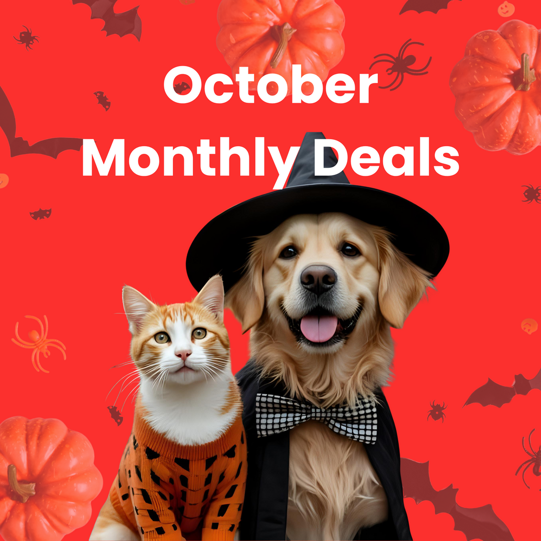 October 2025 Monthly Deals