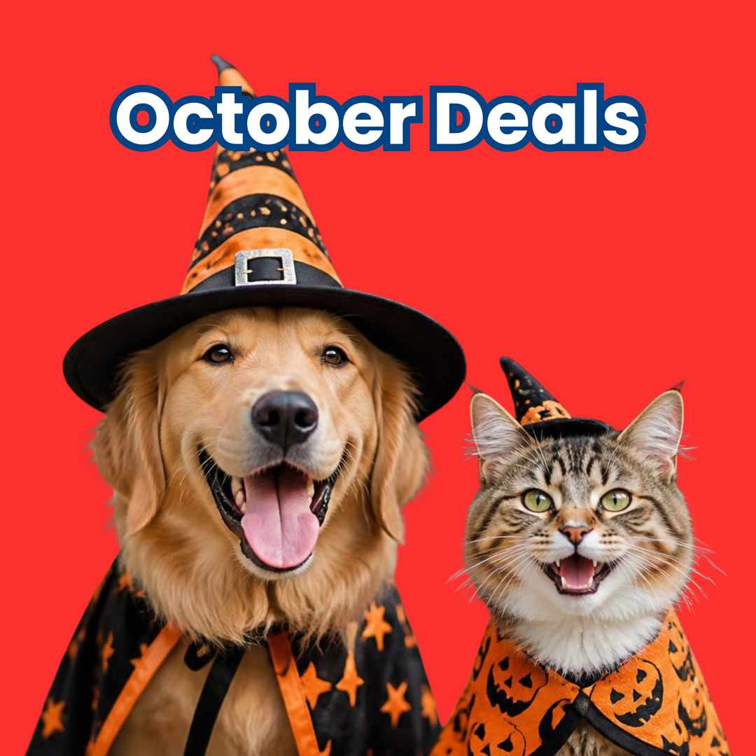 October 2026 Monthly Deals