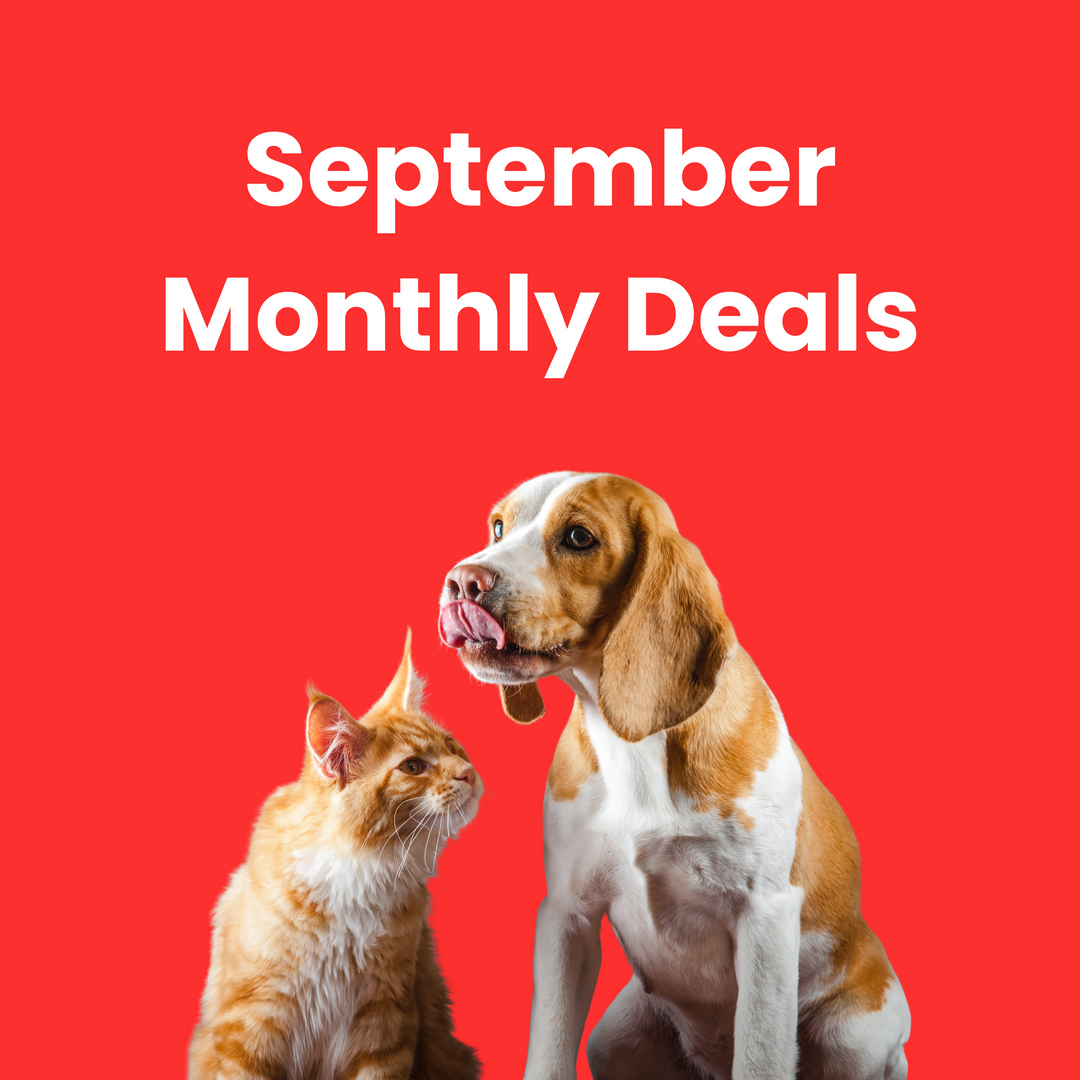 September 2025 Monthly Deals