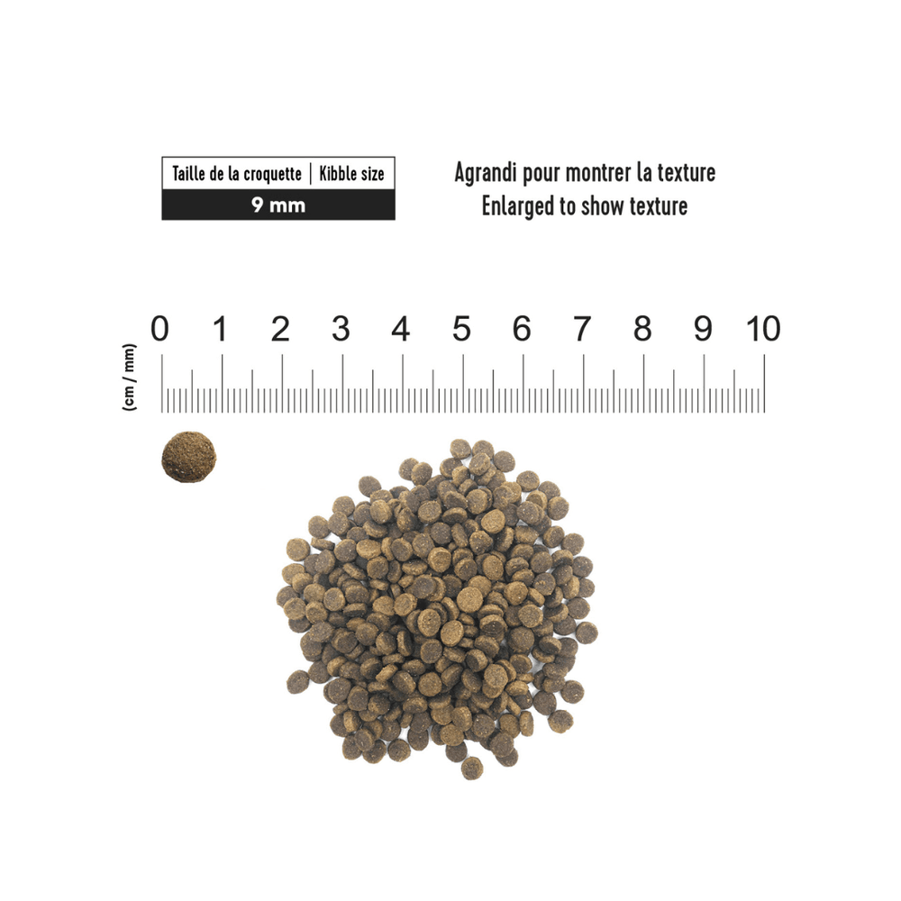 1st Choice Dry Cat Food - Adult Urinary Health Chicken - Toronto Pets