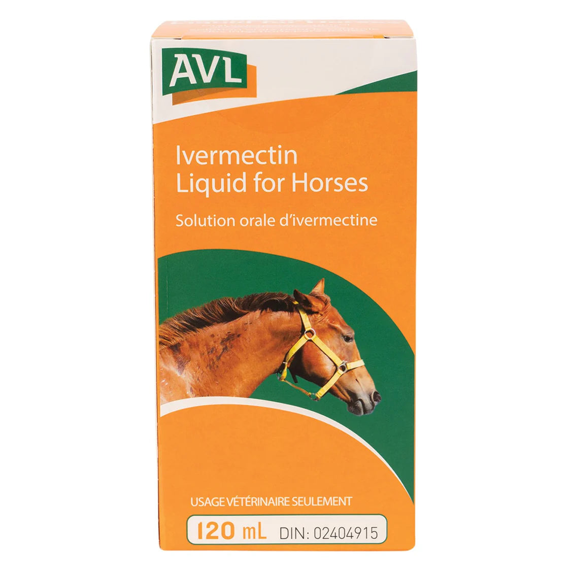 Equine