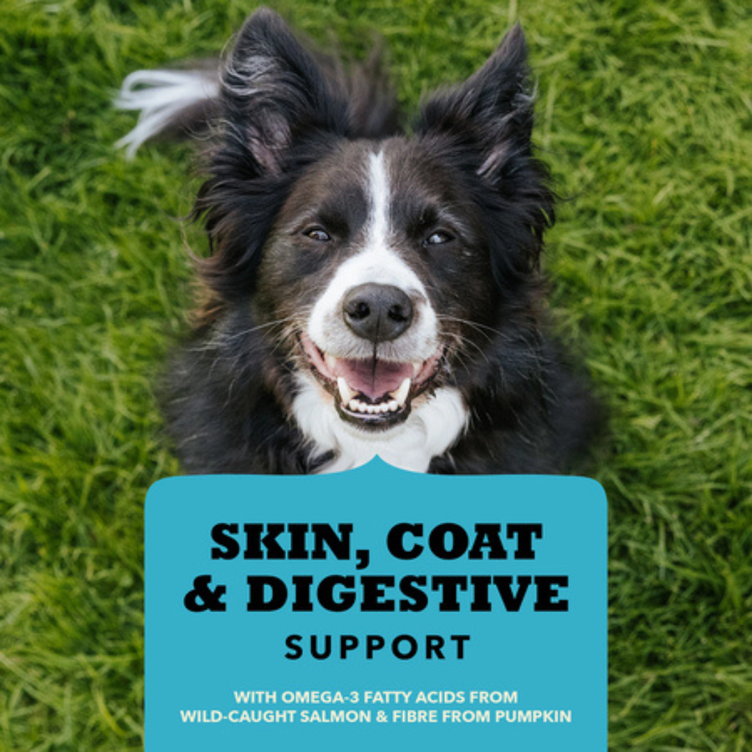 Acana Dog Treats - Chewy Strips Skin, Coat & Digestive Support Salmon Recipe