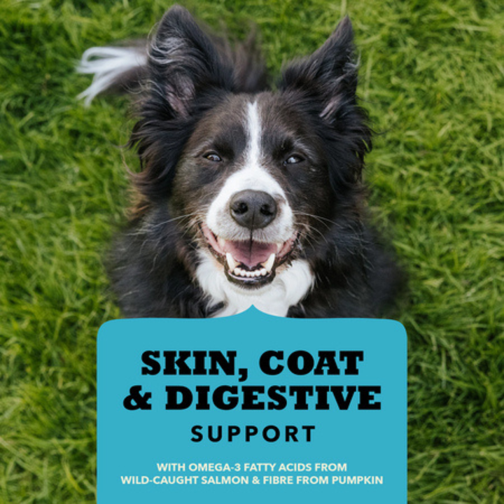 Acana Dog Treats - Chewy Strips Skin, Coat & Digestive Support Salmon Recipe