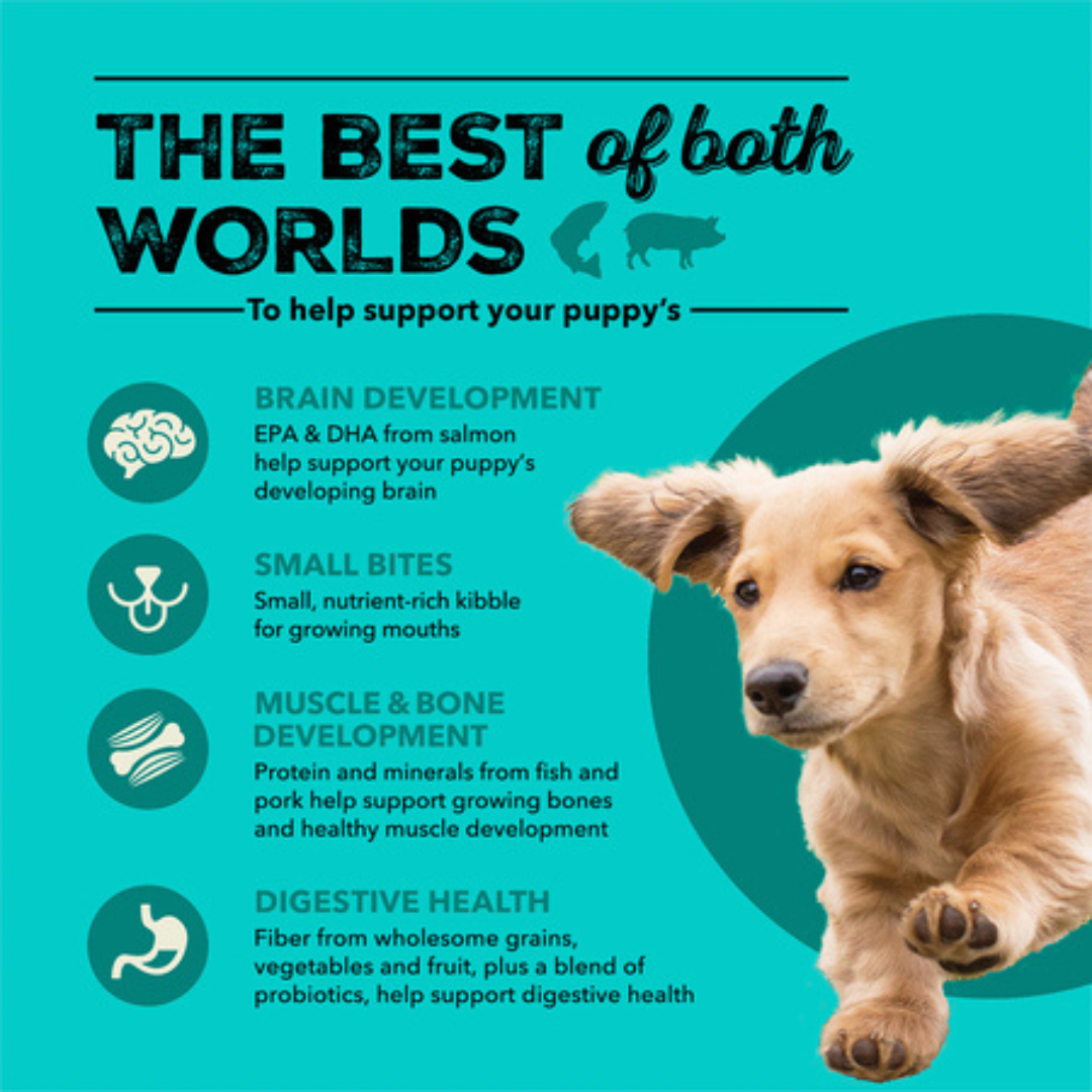 Acana Dry Dog Food - Healthy Grains, Sea to Farm Puppy Recipe