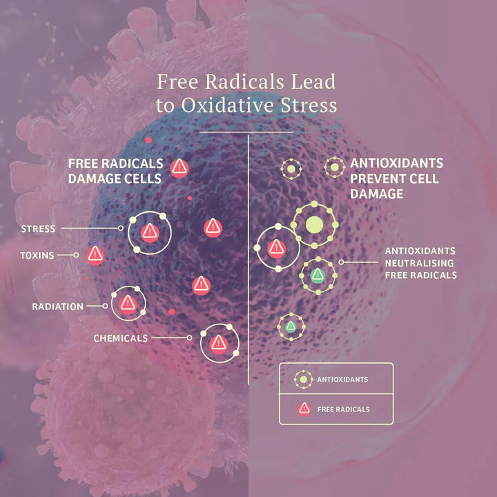 Adored Beast Dog and Cat Supplements - Vital Defense | Cellular Support