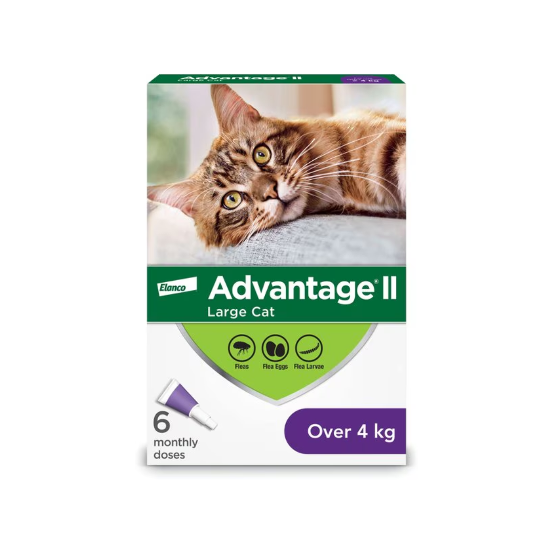 Advantage II Cat Flea and Tick Control - Large Cats > 4 KG