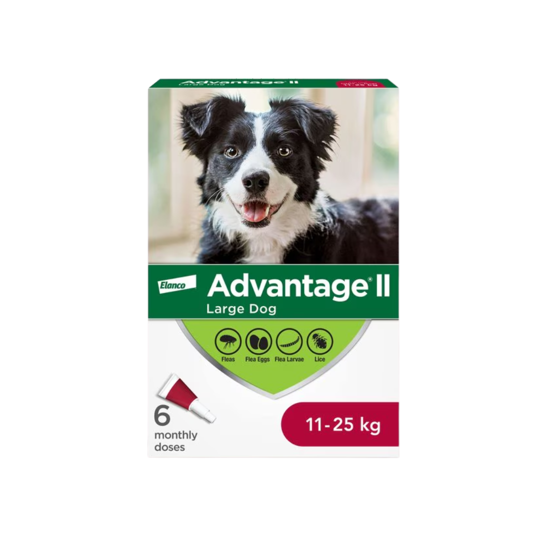 Advantage II Dog Flea and Tick Control - Large Dogs 11-25 KG