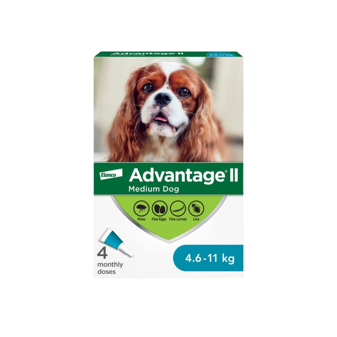 Advantage II Dog Flea and Tick Control - Medium Dogs 4.6-11 KG