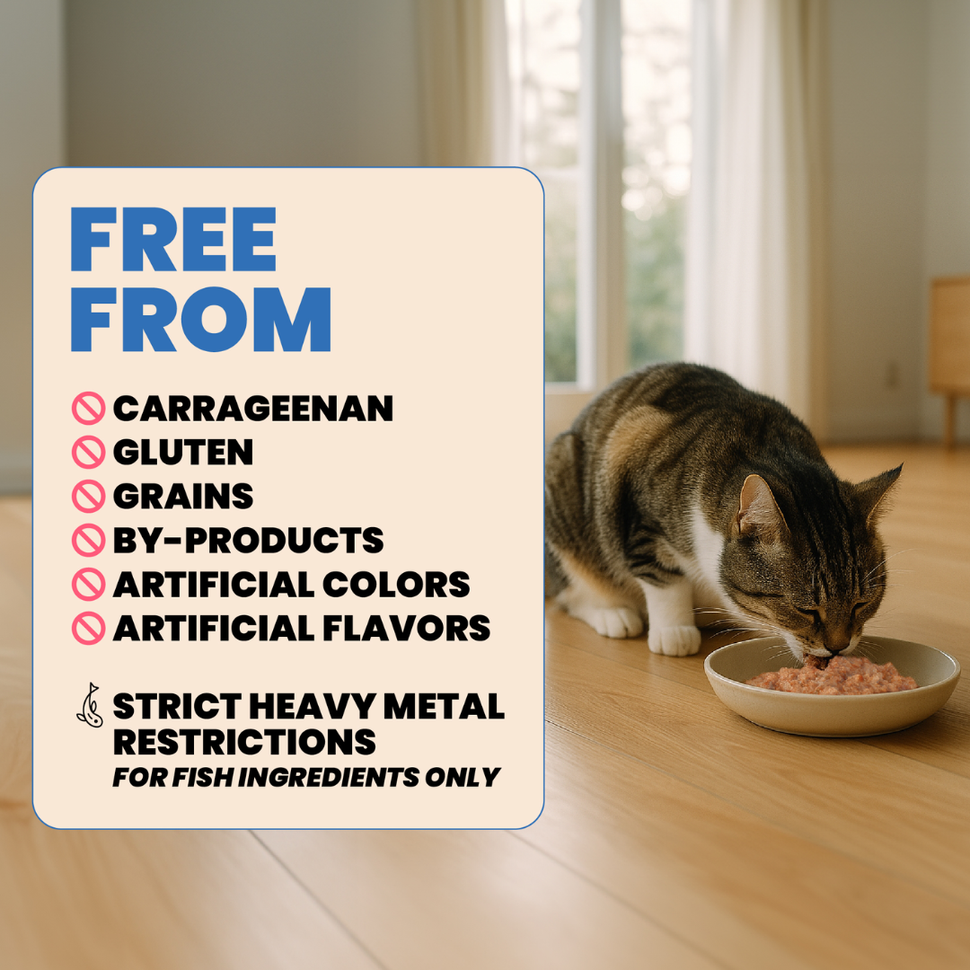 Almo Nature Wet Cat Food - HQS  Deli Tuna in Gravy Canned