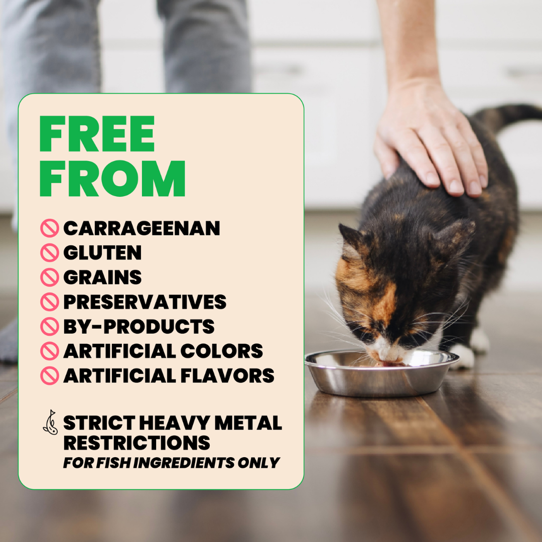 Almo Nature Wet Cat Food - HQS Mousse Tuna with Zucchini Recipe in Gravy Canned