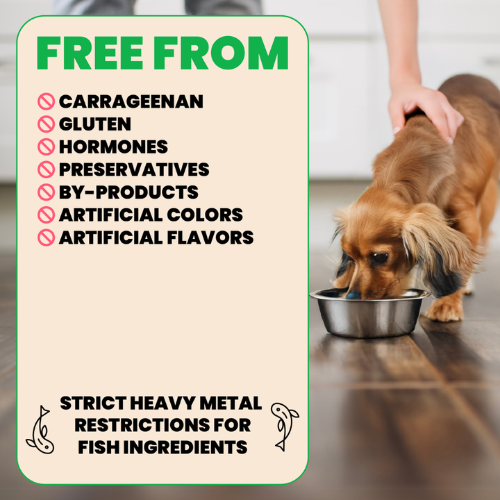 Almo Nature Wet Dog Food - Natural HQS Chicken Fillet Entree in Broth Canned