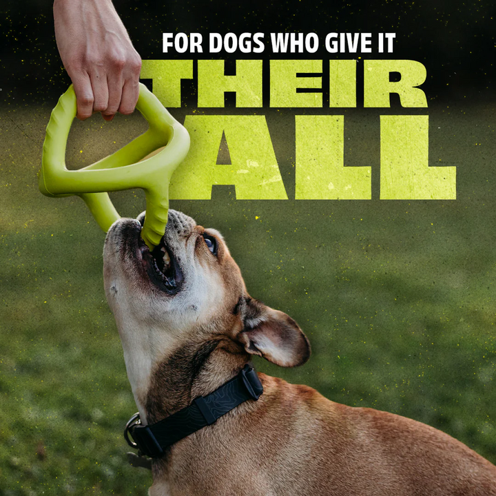 Benebone Dog Toys - Bounce Natural Rubber Tug Toy