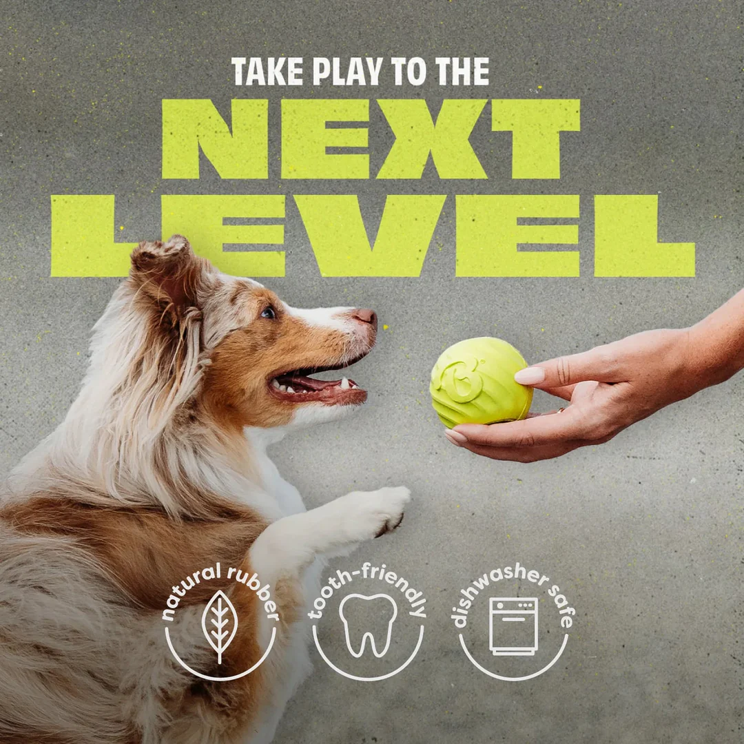 Benebone Dog Toys - Bounce Rubber Ball