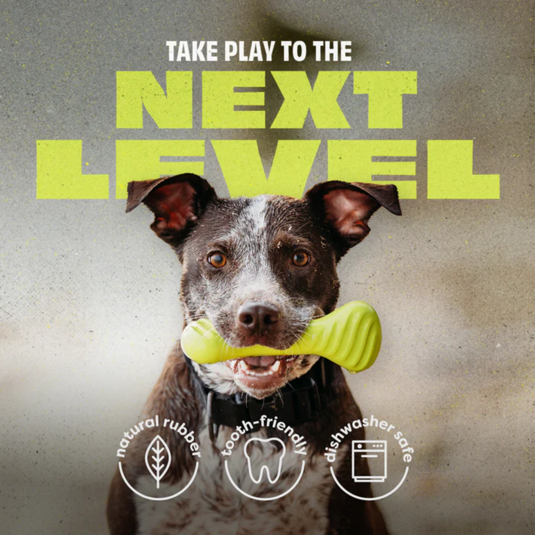 Benebone Dog Toys - Bounce Rubber Bone