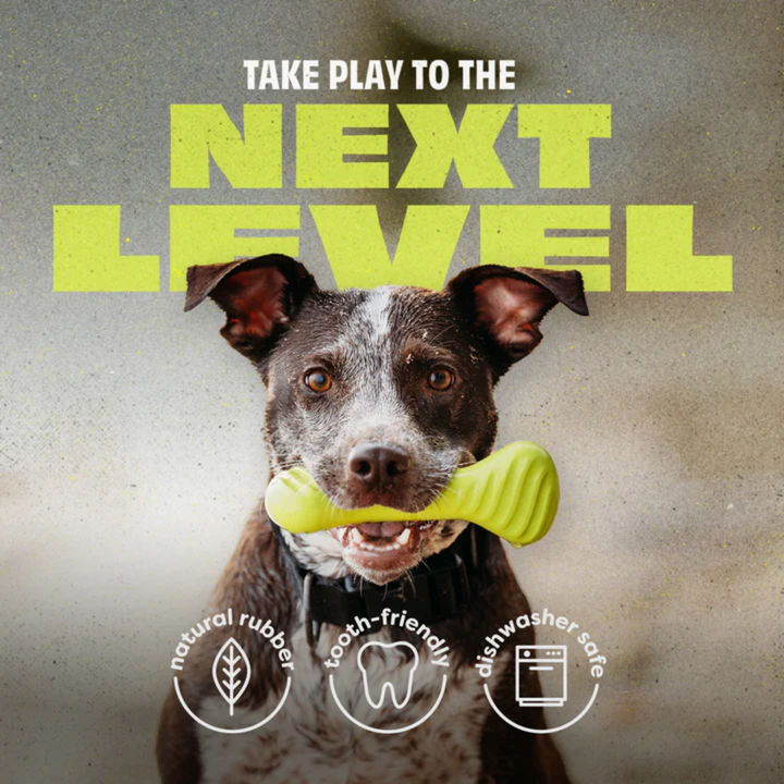 Benebone Dog Toys - Bounce Rubber Bone