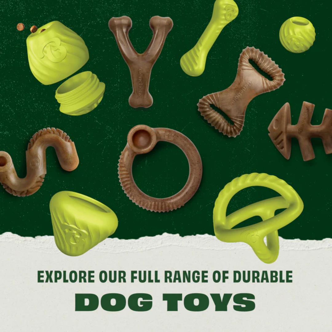 Benebone Dog Toys - Bounce Rubber Bone