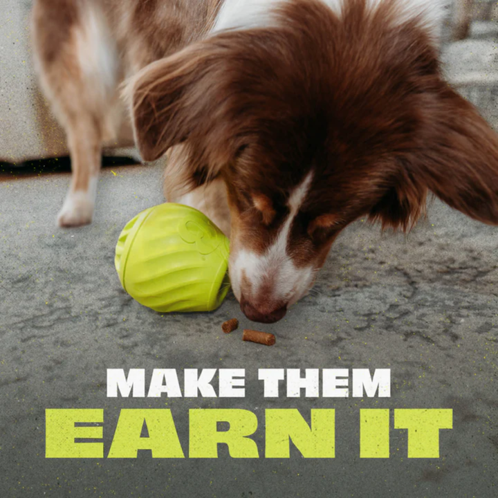 Benebone Dog Toys - Pawbler Natural Rubber Treat Dispenser