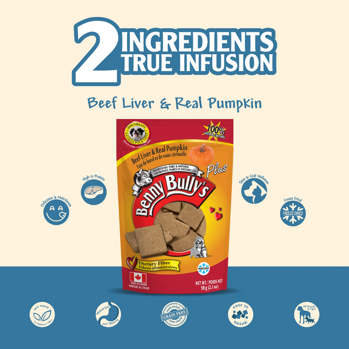 Benny Bully's Freeze Dried Dog Treats - Beef Liver Plus Pumpkin