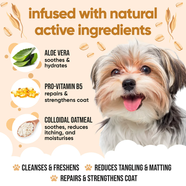 Buddycare Dog Grooming Supplies - Oatmeal Shampoo