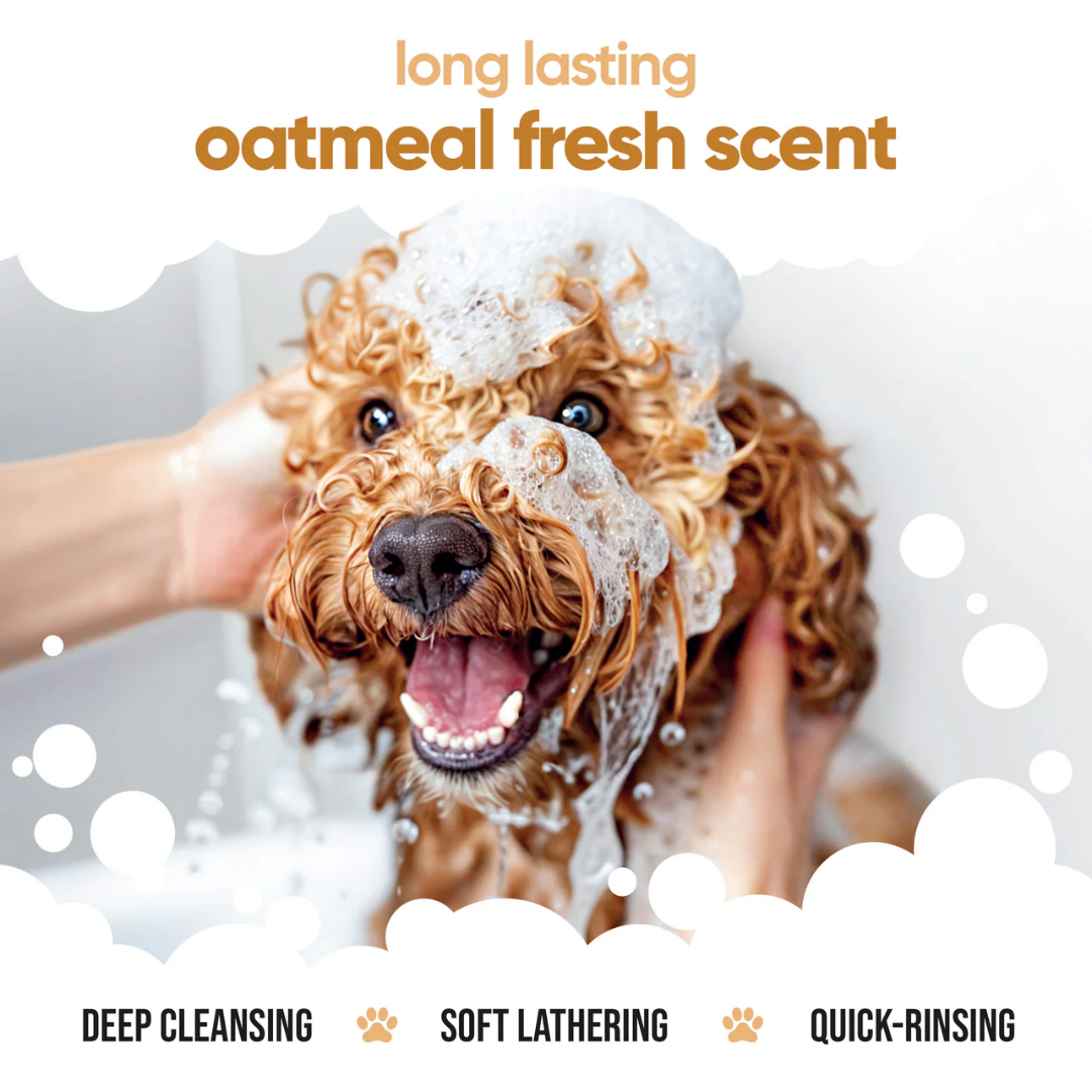 Buddycare Dog Grooming Supplies - Oatmeal Shampoo
