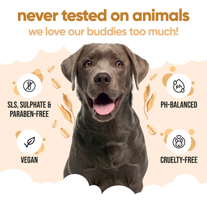 Buddycare Dog Grooming Supplies - Oatmeal Shampoo