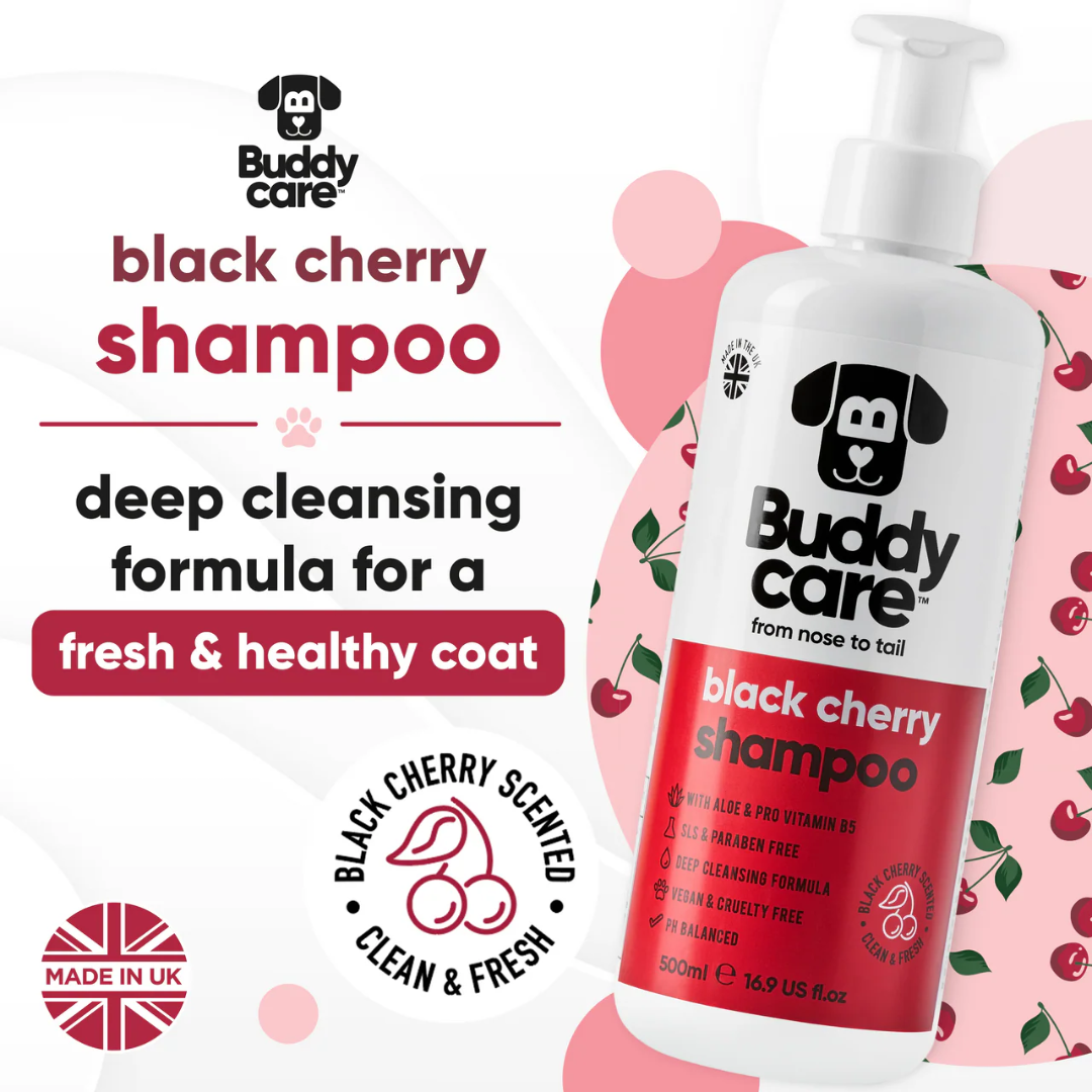 Buddycare Dog Grooming Supplies - Black Cherry Shampoo
