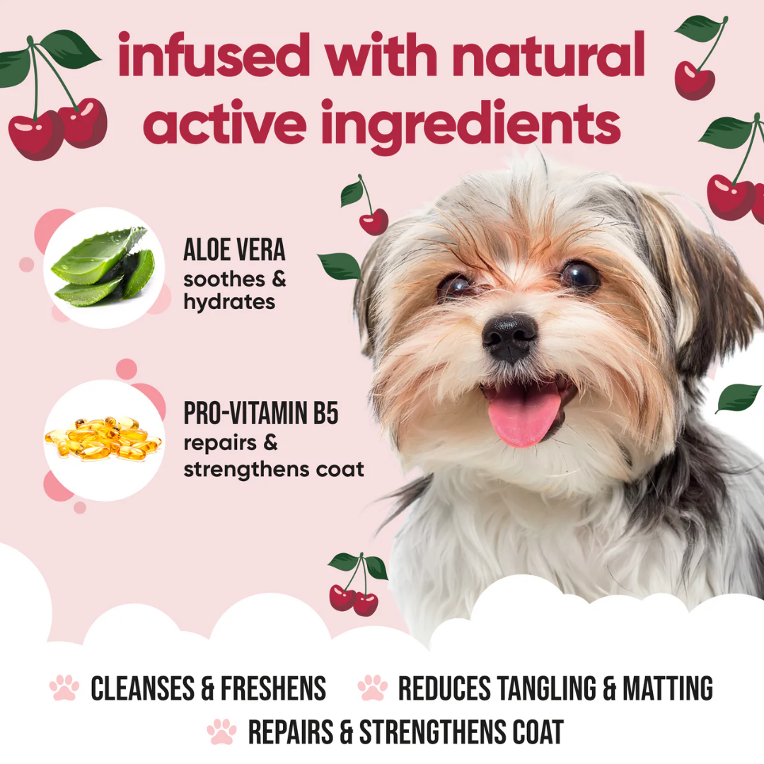 Buddycare Dog Grooming Supplies - Black Cherry Shampoo