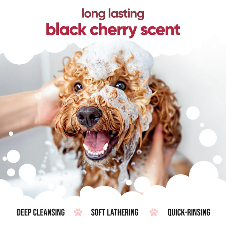Buddycare Dog Grooming Supplies - Black Cherry Shampoo