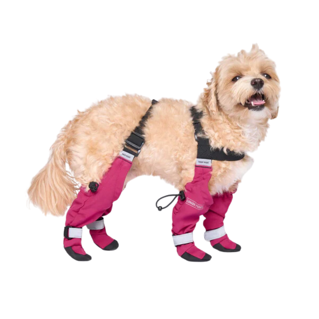 Canada Pooch Dog Accessories Suspender Boots