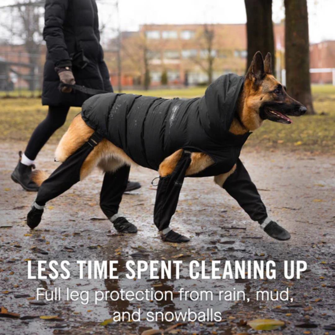 Suspender Boots Canada Puppy Boots For Dogs Canada Pooch Dog