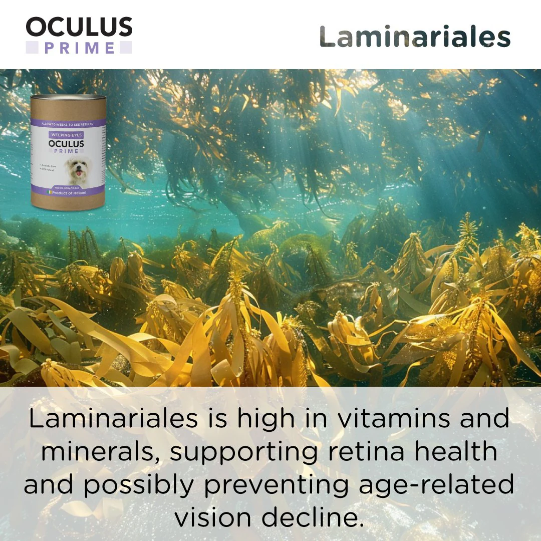 Canident Dogs Eye Care - Oculus Prime Natural Tear Stain Remover