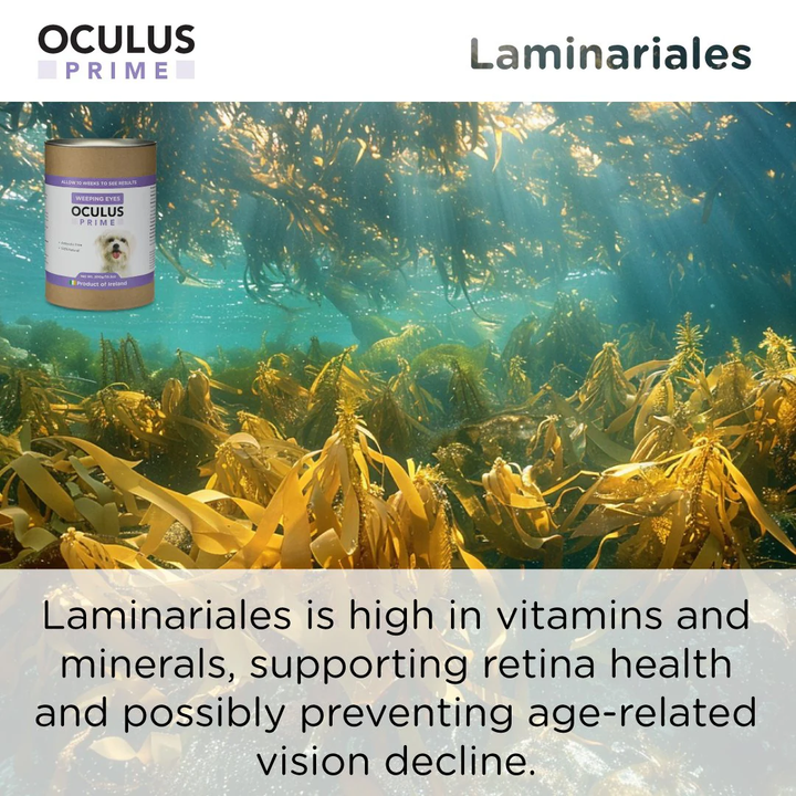 Canident Dogs Eye Care - Oculus Prime Natural Tear Stain Remover